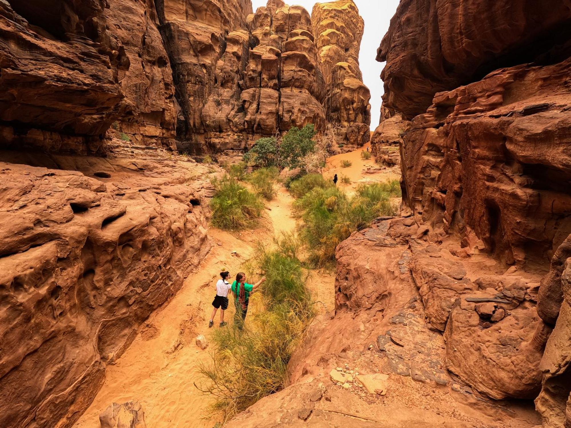 Hotel Stargazing Camp & Tours Wadi Rum Exterior foto