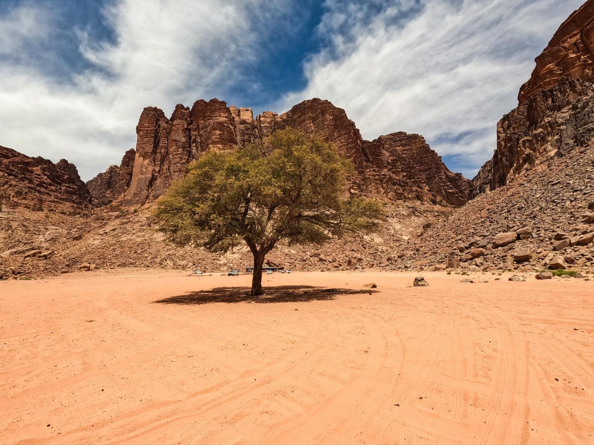 Hotel Stargazing Camp & Tours Wadi Rum Exterior foto