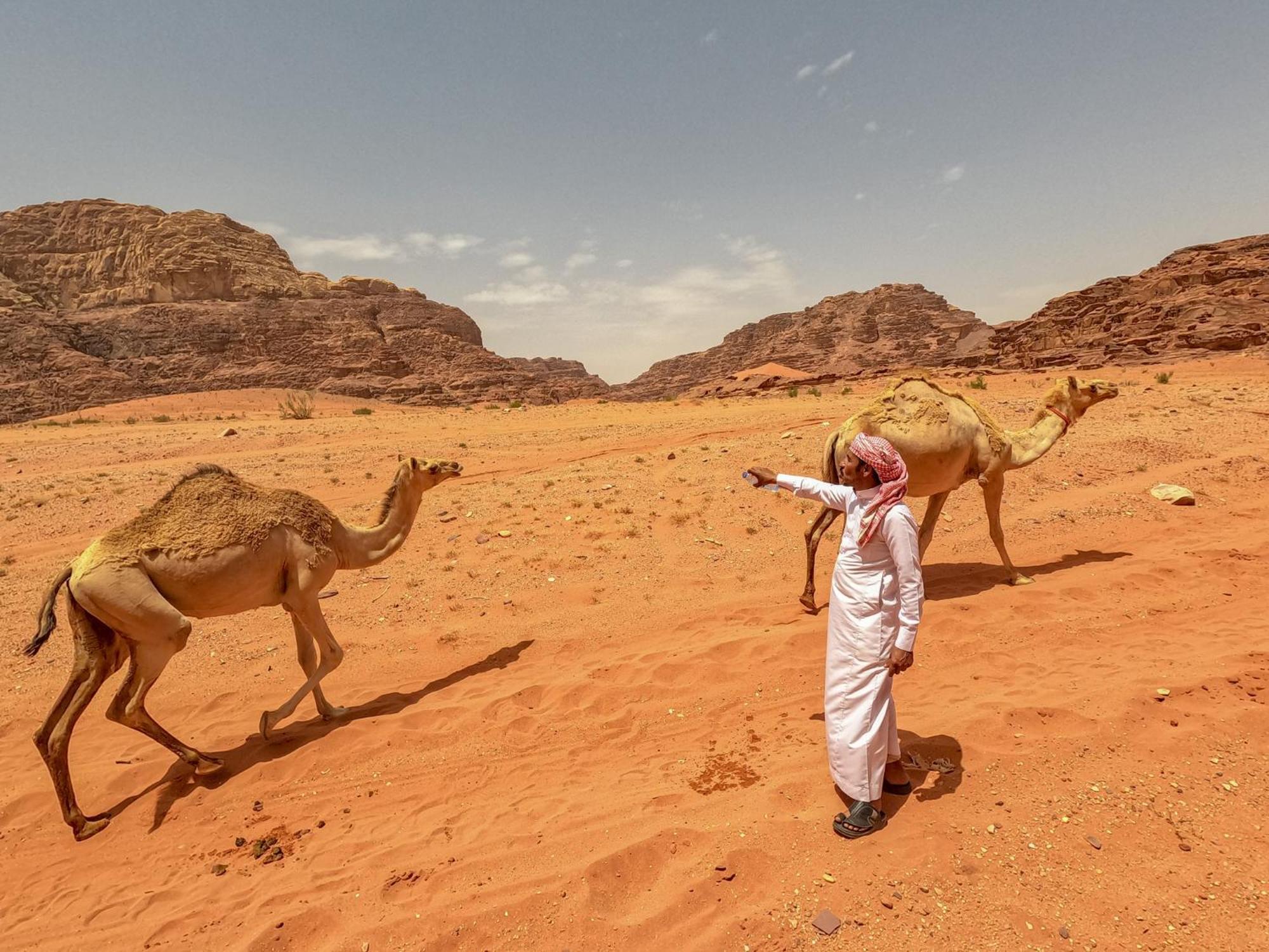 Hotel Stargazing Camp & Tours Wadi Rum Exterior foto